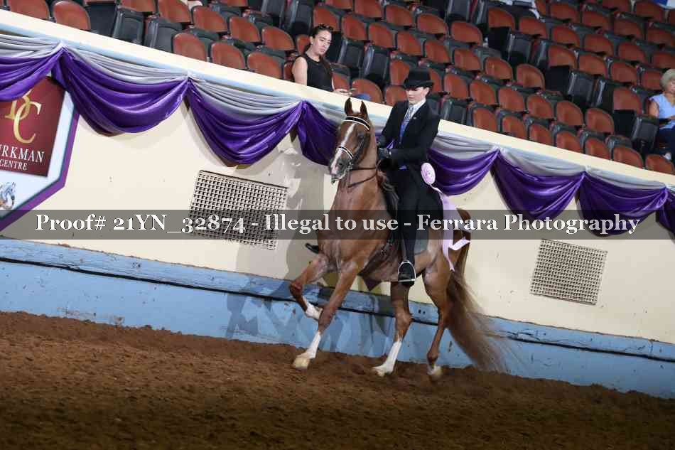 Proof Number 21YN_32874
