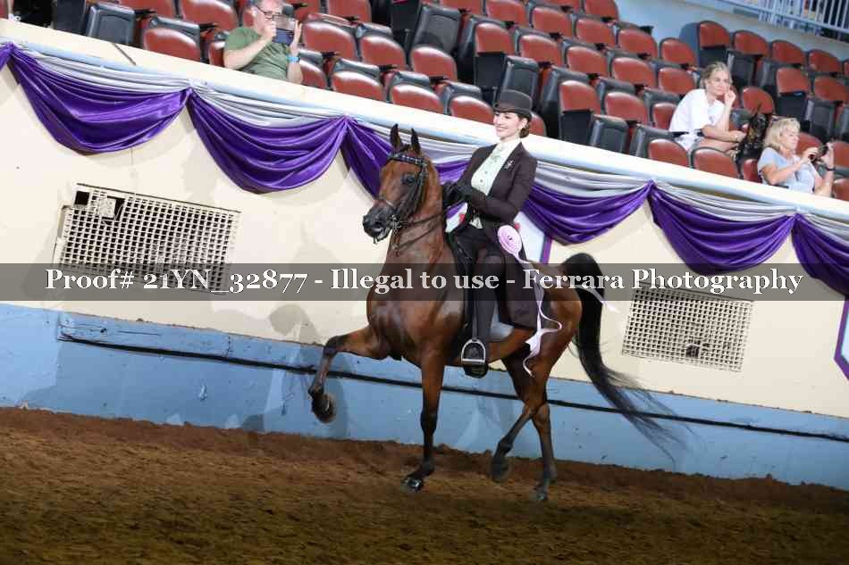 Proof Number 21YN_32877