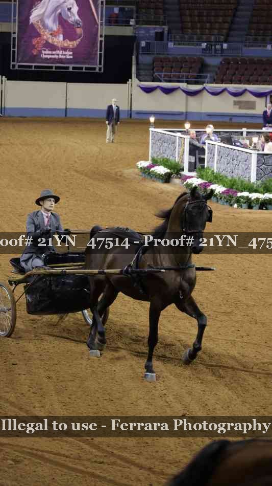 Proof Number 21YN_47514