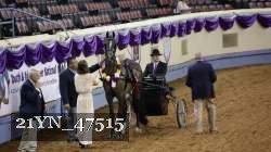 21YN_47515 thumbnail