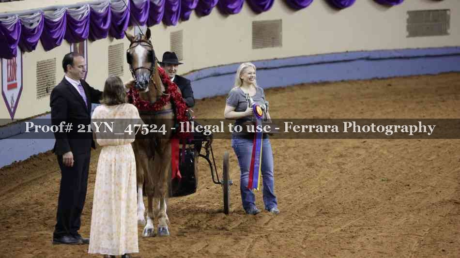 Proof Number 21YN_47524