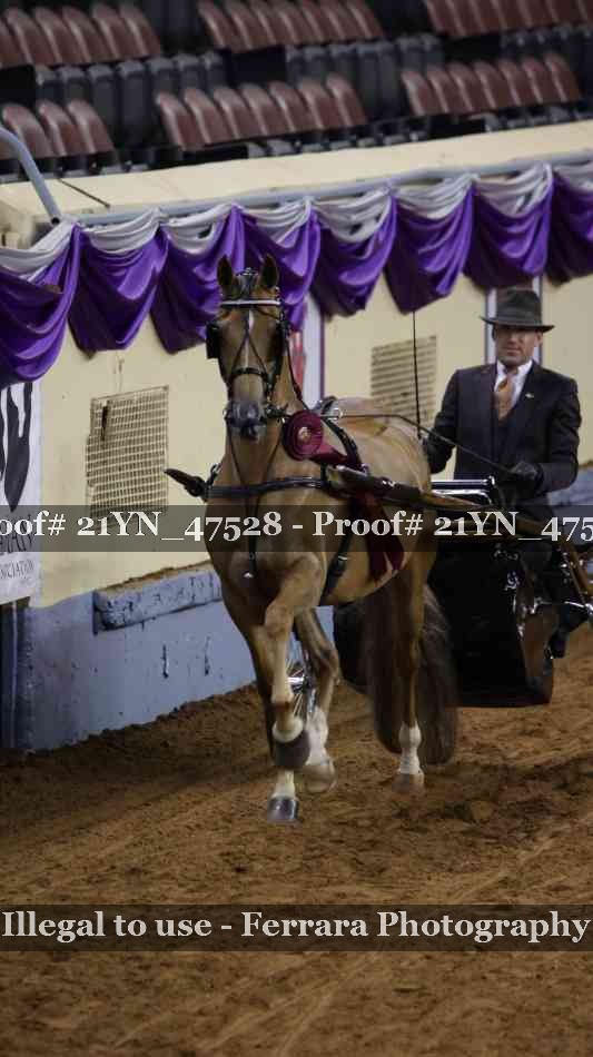 Proof Number 21YN_47528