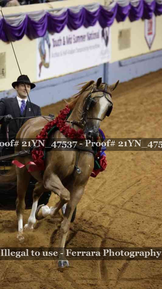 Proof Number 21YN_47537