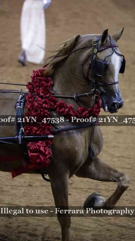 Proof Number 21YN_47538