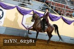 21YN_62381 thumbnail