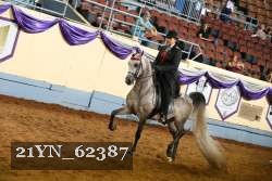 21YN_62387 thumbnail