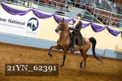 21YN_62391 thumbnail