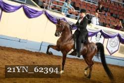21YN_62394 thumbnail