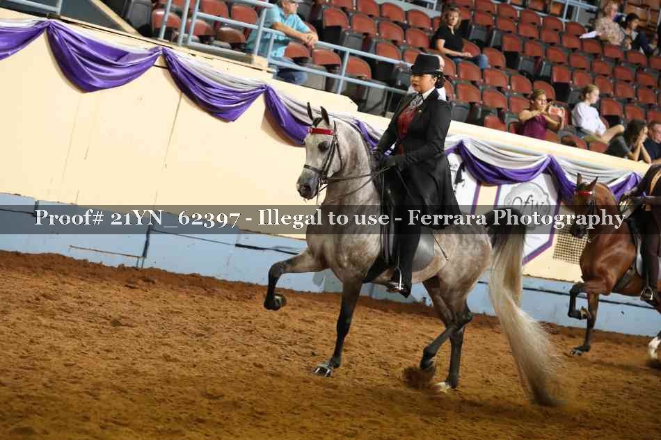Proof Number 21YN_62397