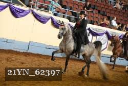 21YN_62397 thumbnail