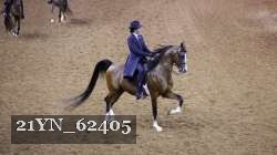 21YN_62405 thumbnail