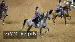 21YN_62408 thumbnail
