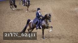 21YN_62411 thumbnail