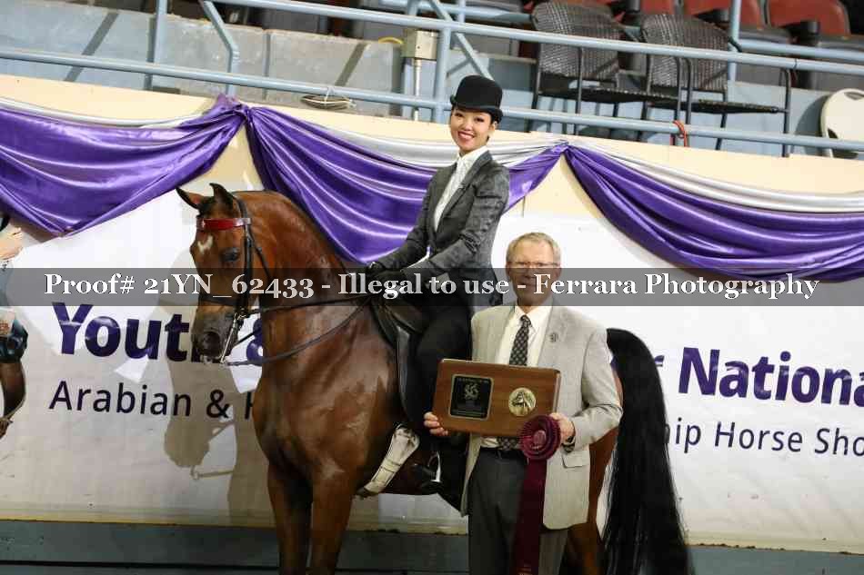 Proof Number 21YN_62433