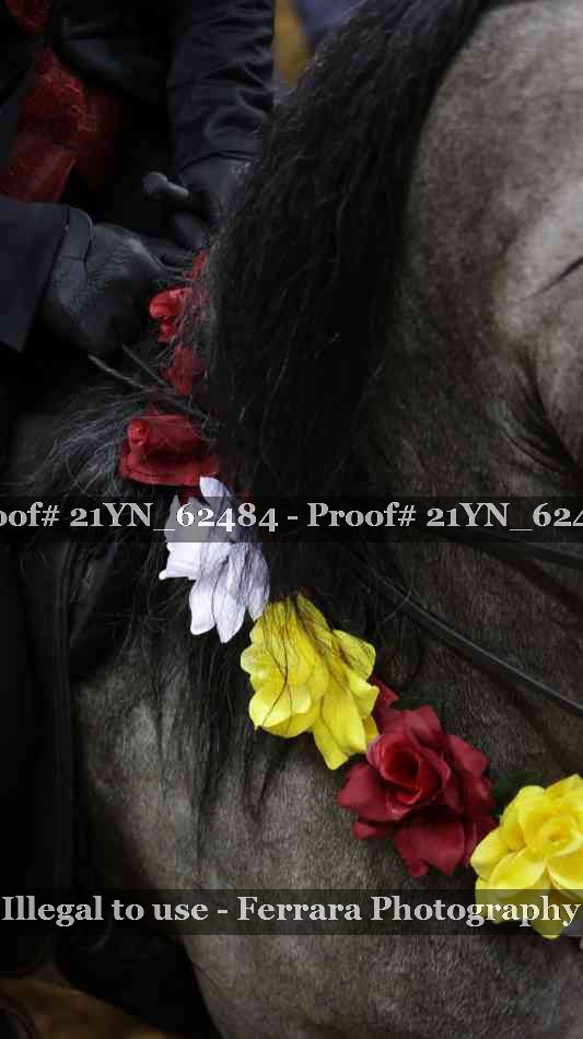 Proof Number 21YN_62484