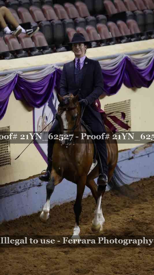 Proof Number 21YN_62527
