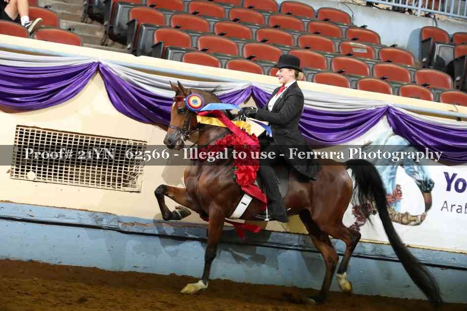 Proof Number 21YN_62566