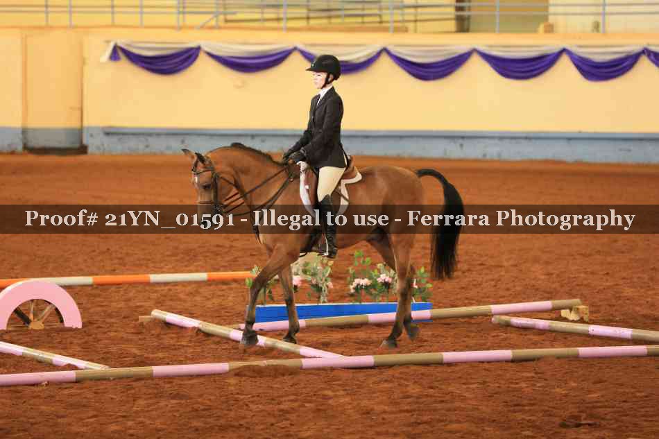 Proof Number 21YN_01591