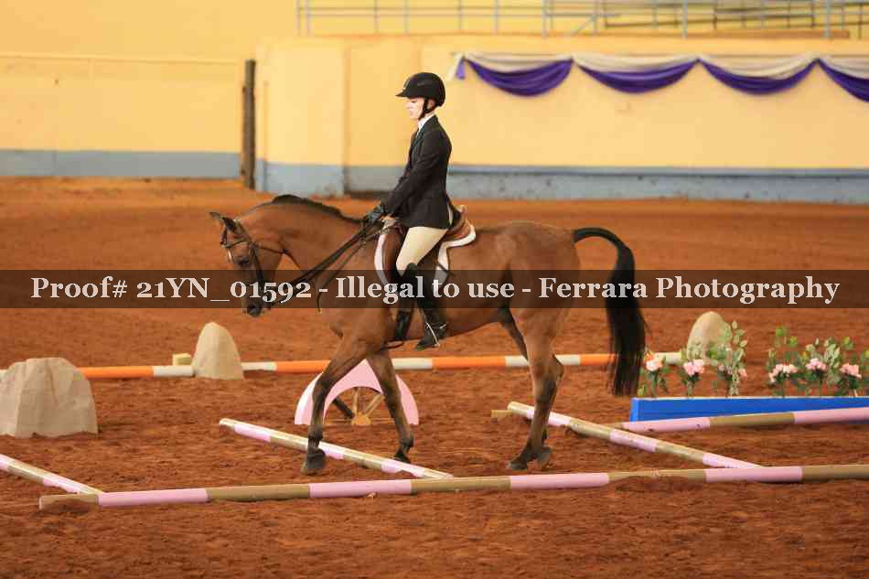 Proof Number 21YN_01592