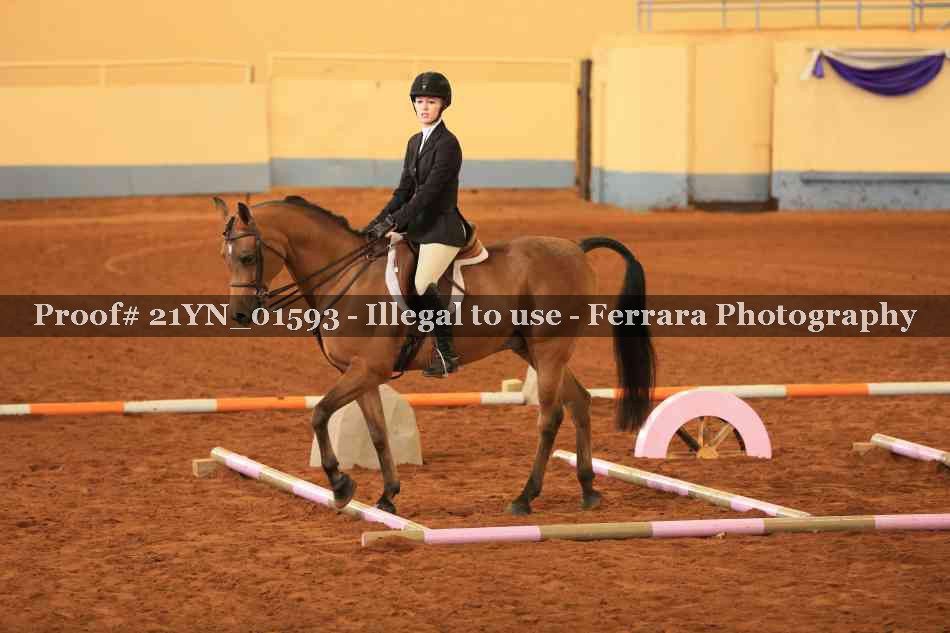 Proof Number 21YN_01593