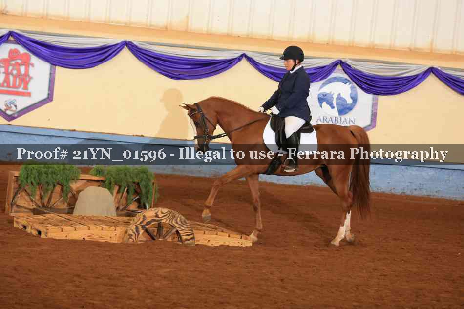 Proof Number 21YN_01596