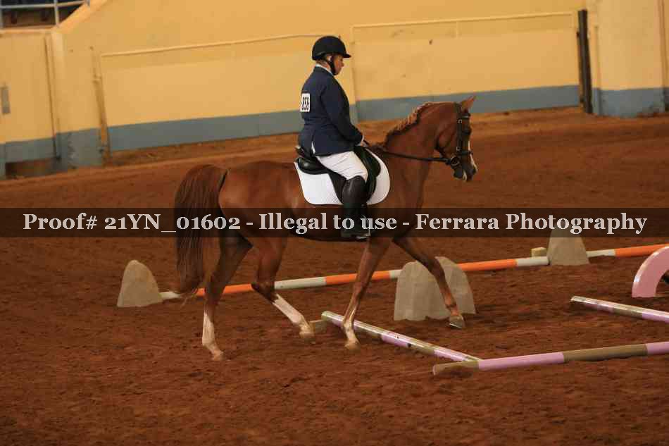 Proof Number 21YN_01602