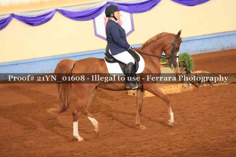Proof Number 21YN_01608