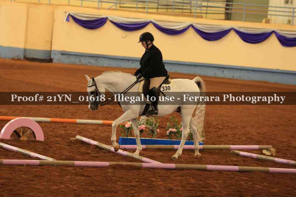 Proof Number 21YN_01618