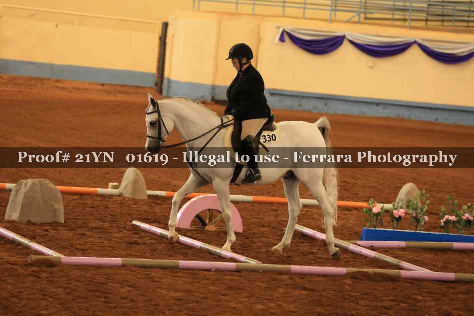 Proof Number 21YN_01619