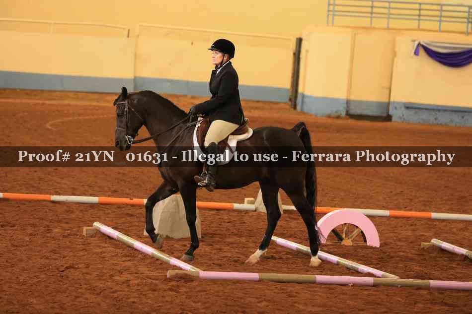 Proof Number 21YN_01631