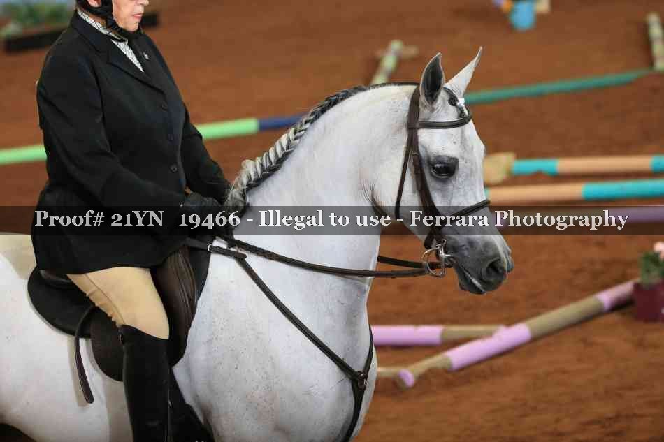 Proof Number 21YN_19466