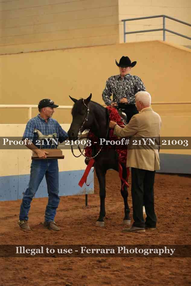 Proof Number 21YN_21003