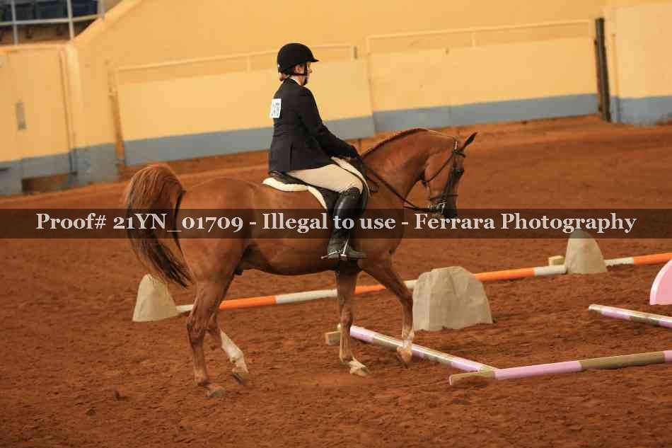 Proof Number 21YN_01709