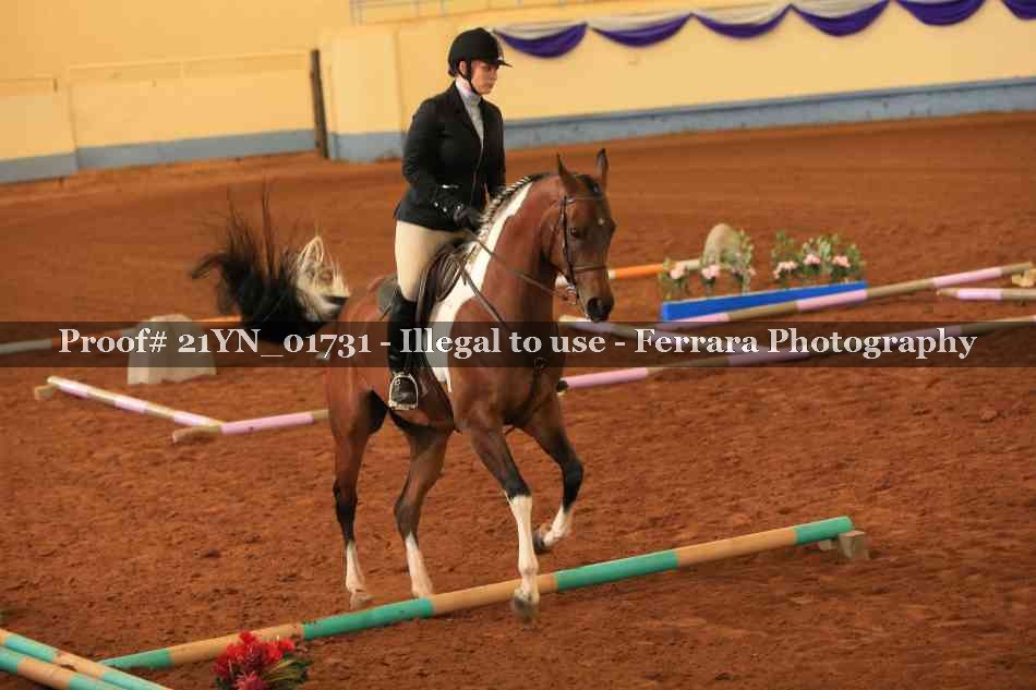 Proof Number 21YN_01731