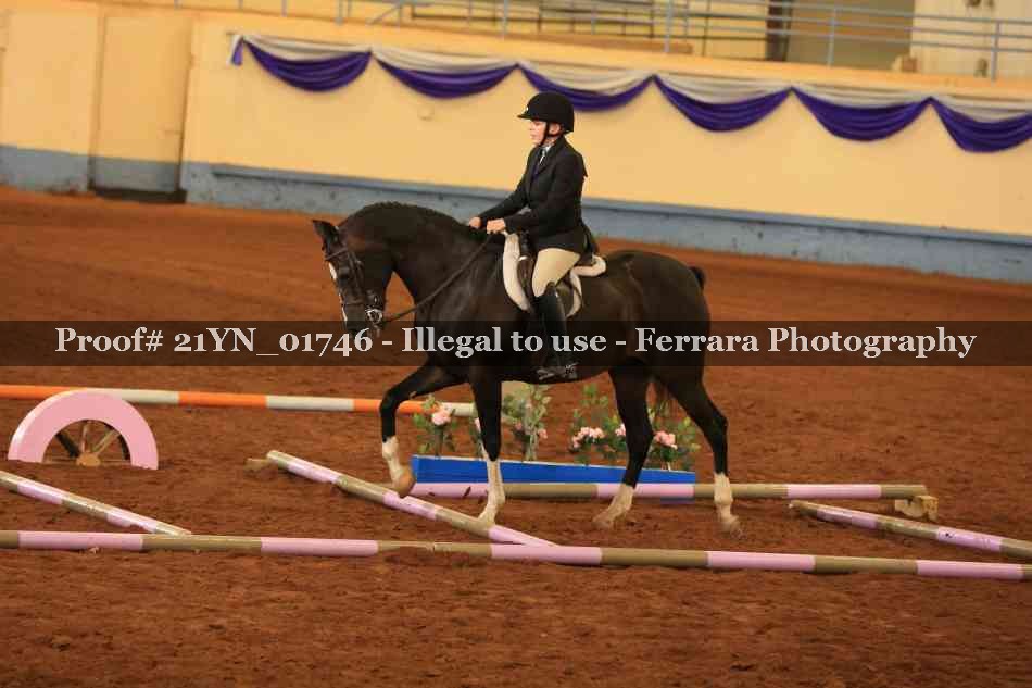 Proof Number 21YN_01746