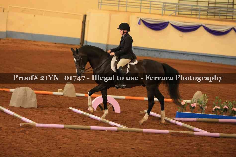 Proof Number 21YN_01747