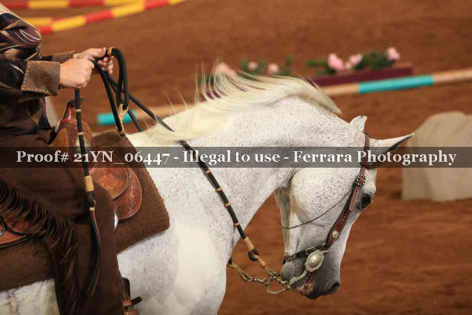Proof Number 21YN_06447