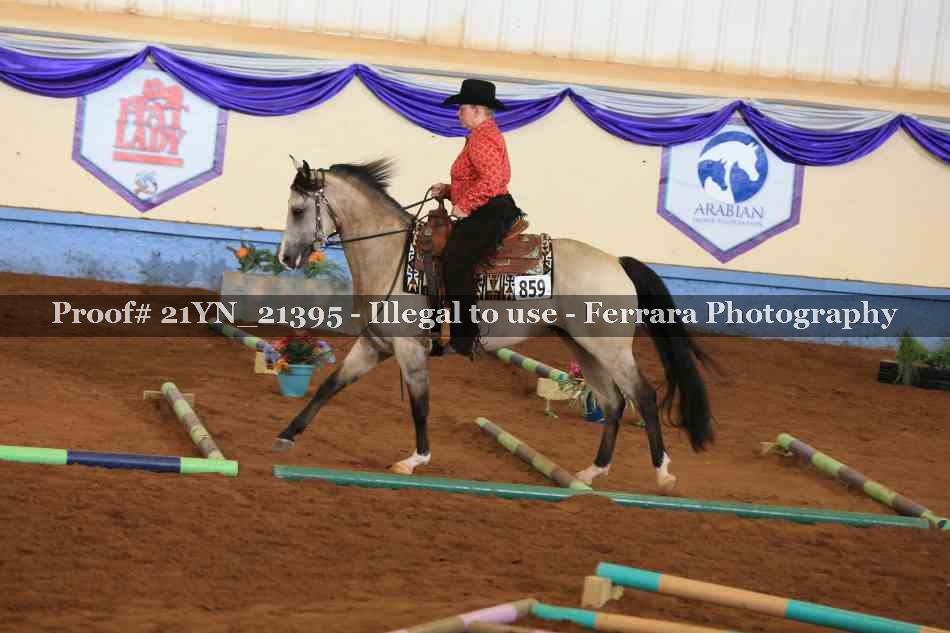 Proof Number 21YN_21395