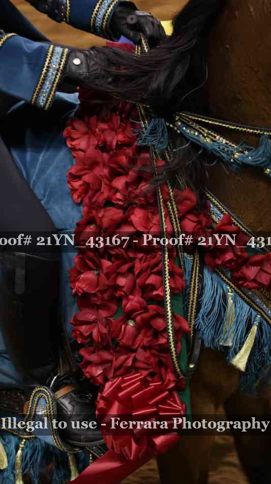 Proof Number 21YN_43167
