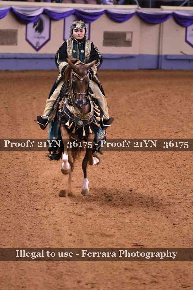 Proof Number 21YN_36175