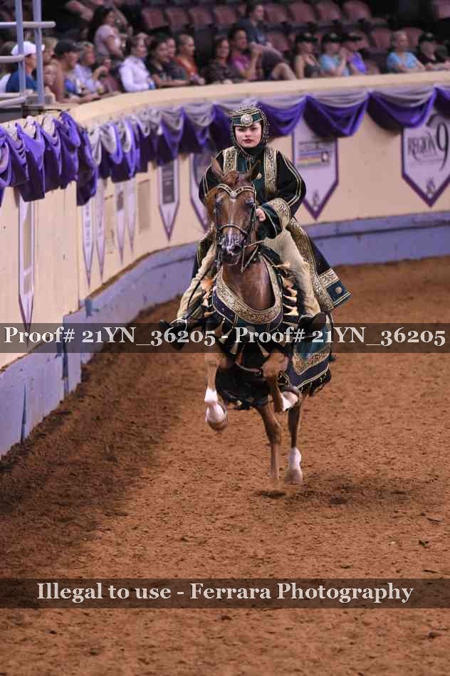 Proof Number 21YN_36205