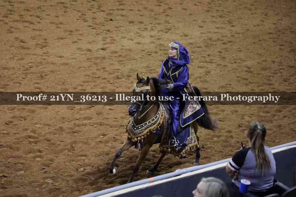 Proof Number 21YN_36213