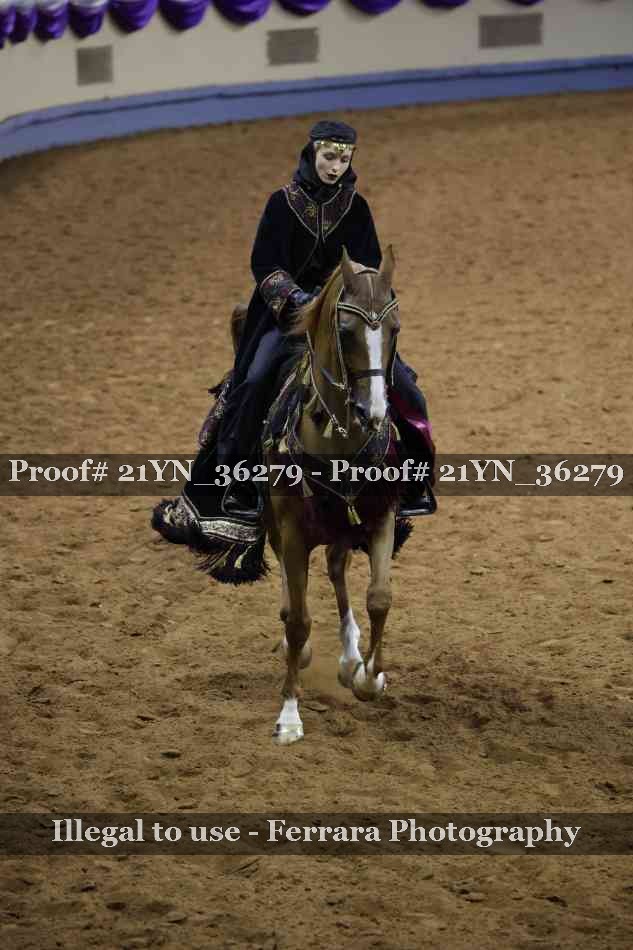 Proof Number 21YN_36279