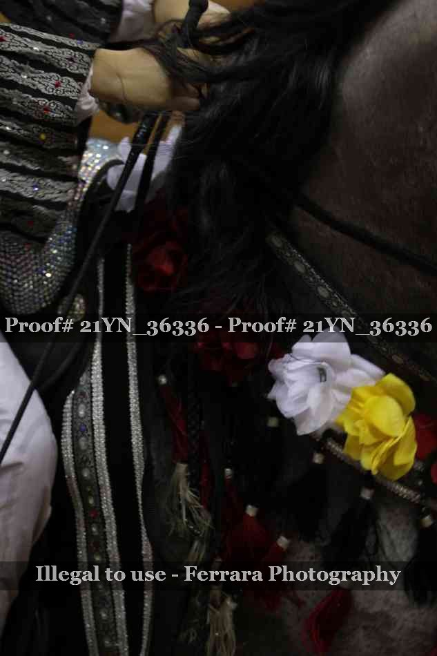 Proof Number 21YN_36336