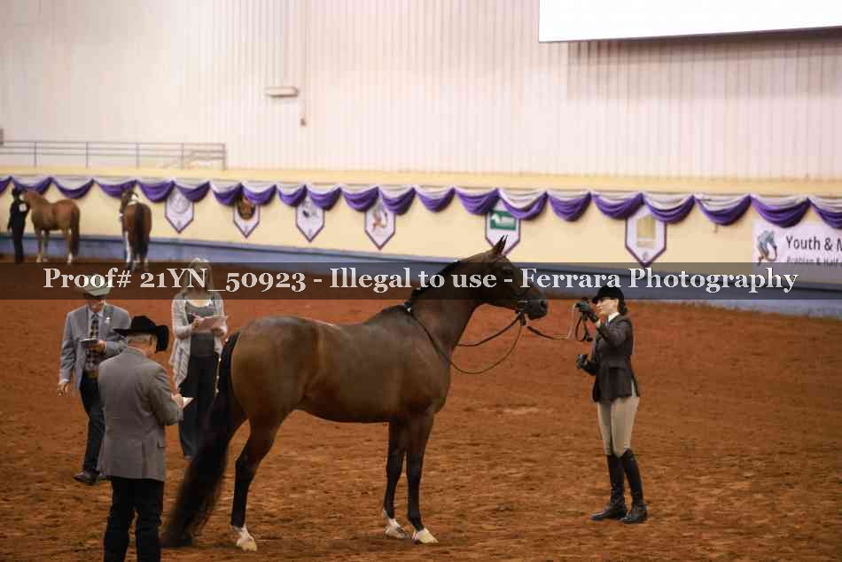 Proof Number 21YN_50923