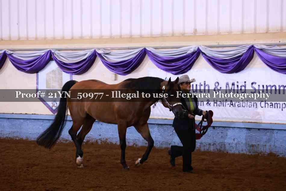 Proof Number 21YN_50977