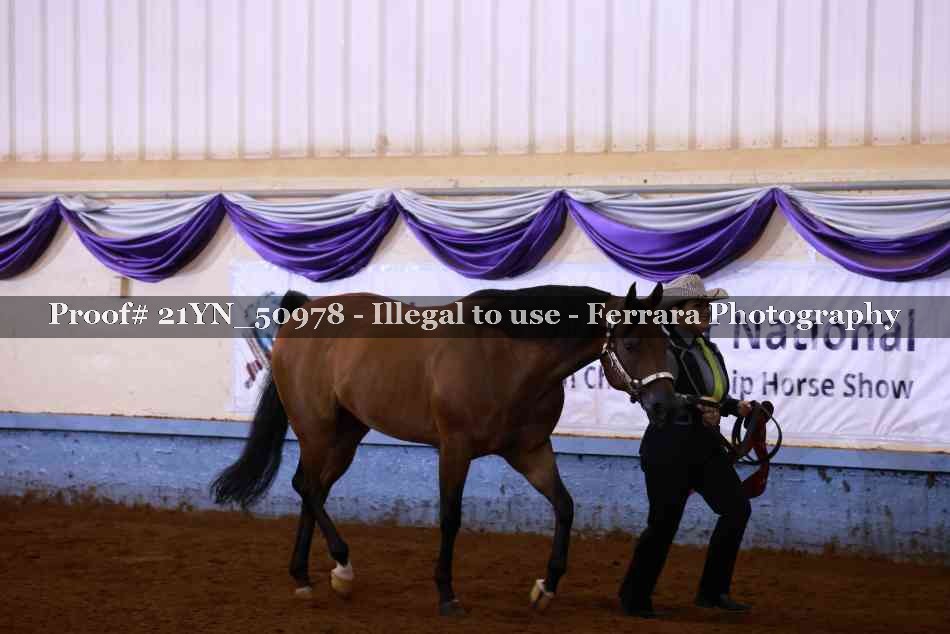 Proof Number 21YN_50978