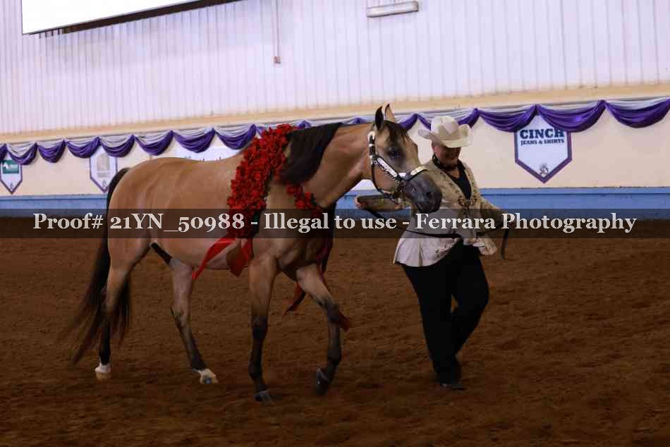 Proof Number 21YN_50988