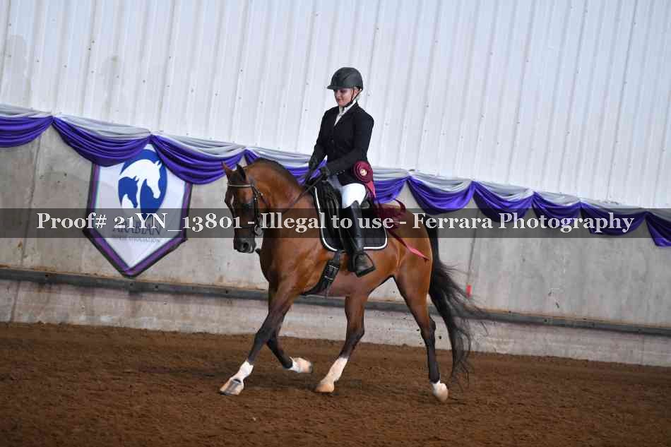 Proof Number 21YN_13801