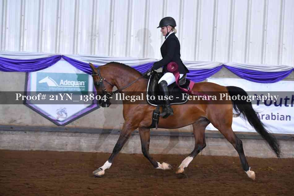 Proof Number 21YN_13804